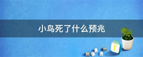 鸟死在家里|家里鸟死什么预兆吉凶 鸟死在家门口有什么说法